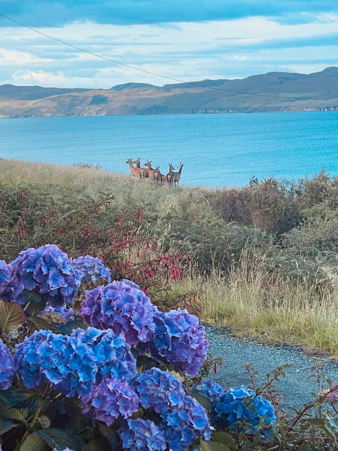 The Rowanberry Suite At Rowan Cottage Elgol Buitenkant foto